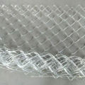 plastic coated diamond wire fence/ chain link fence
